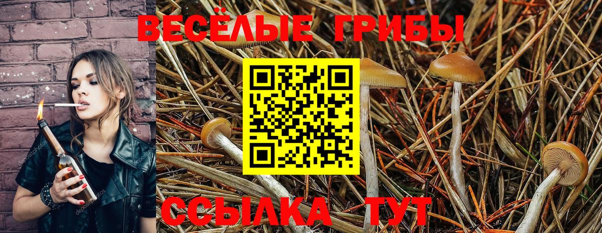 купить  сайты  Галлюциногенные грибы GOLDEN TEACHER  Вход с VPN  Сорочинск  Галлюциногенные грибы MAGIC MUSHROOMS 